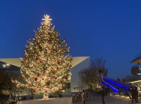 クリスマスツリー