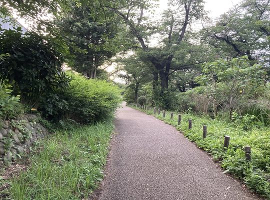 通勤途中の道