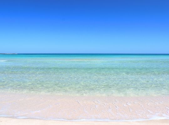 海