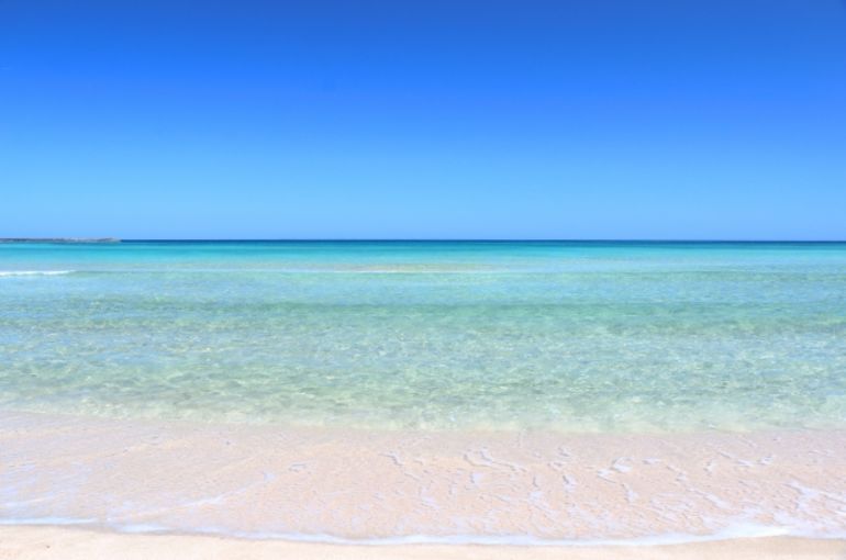 海