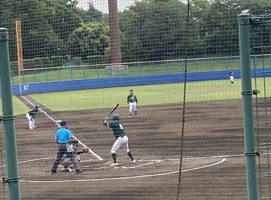 野球観戦