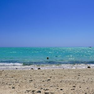 海