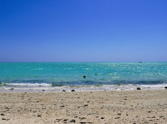海