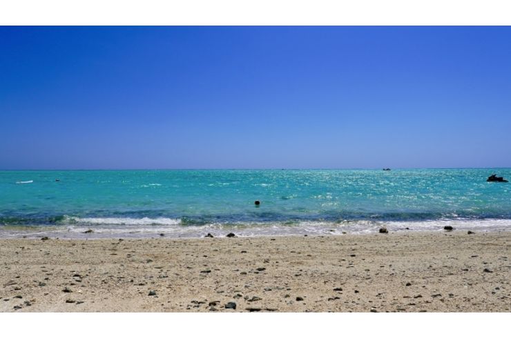 海