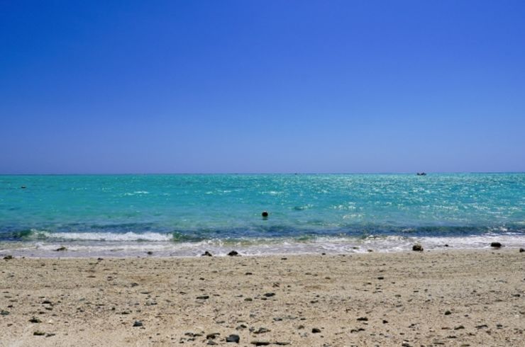 海