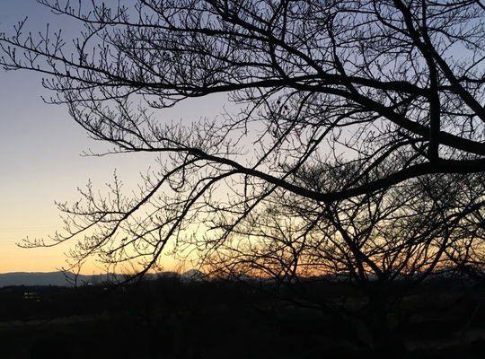 河川敷の夕暮れ