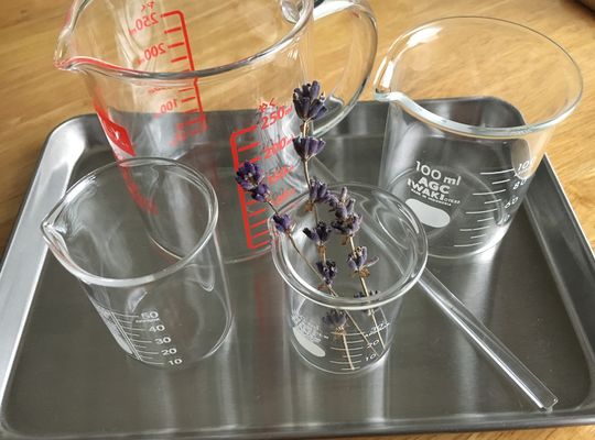 ビーカーの写真